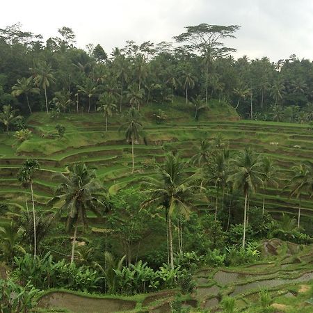 Pangkung House Lejlighed Ubud Eksteriør billede